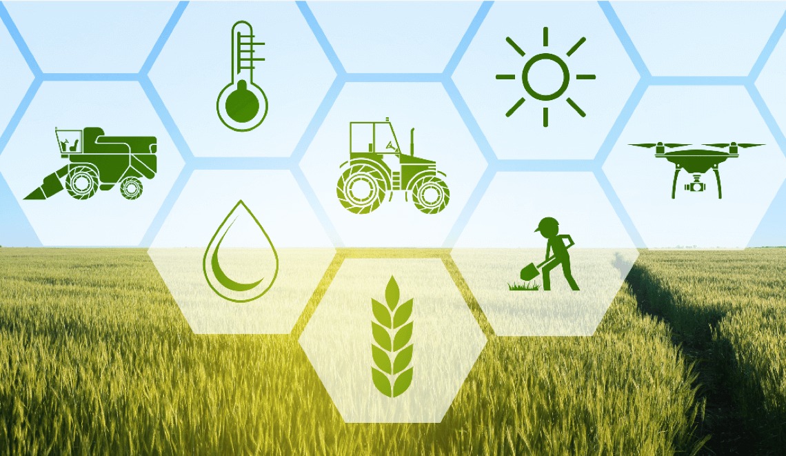 Precision Agriculture with Drone Technology